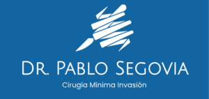 logo pablo segovia 3.ai